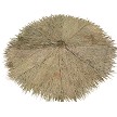 Bottom Side View Mexican Palm Thatch 