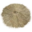Top Side View Mexican Palm Thatch 
