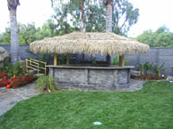 Custom Palm Palapa