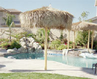 Palm Palapa