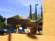 Palm Palapa