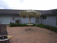 Palm Palapa