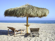 Palm Palapa